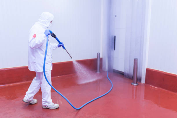 Best Rust Removal  in Runnemede, NJ